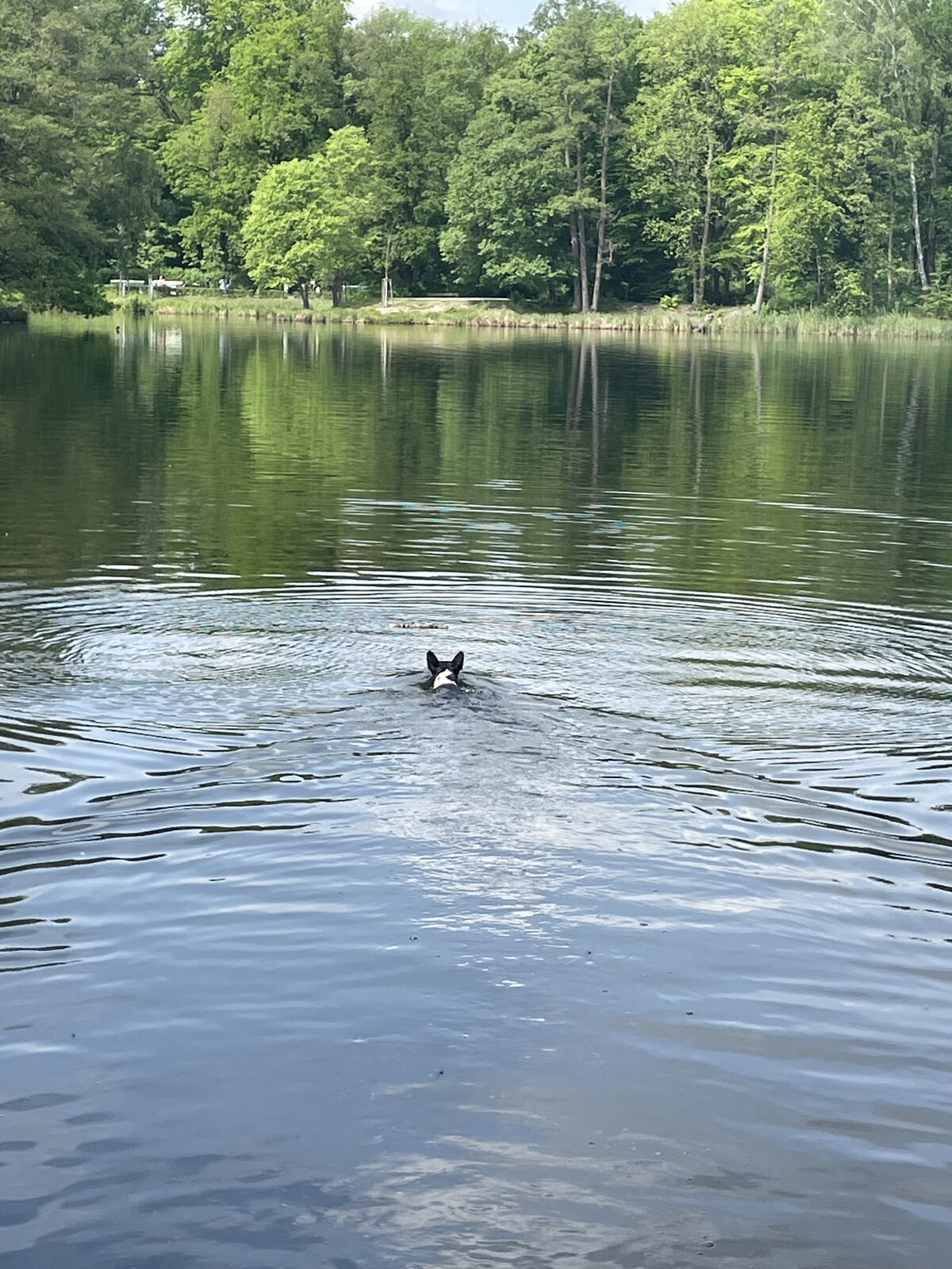 IMG_3456.jpeg