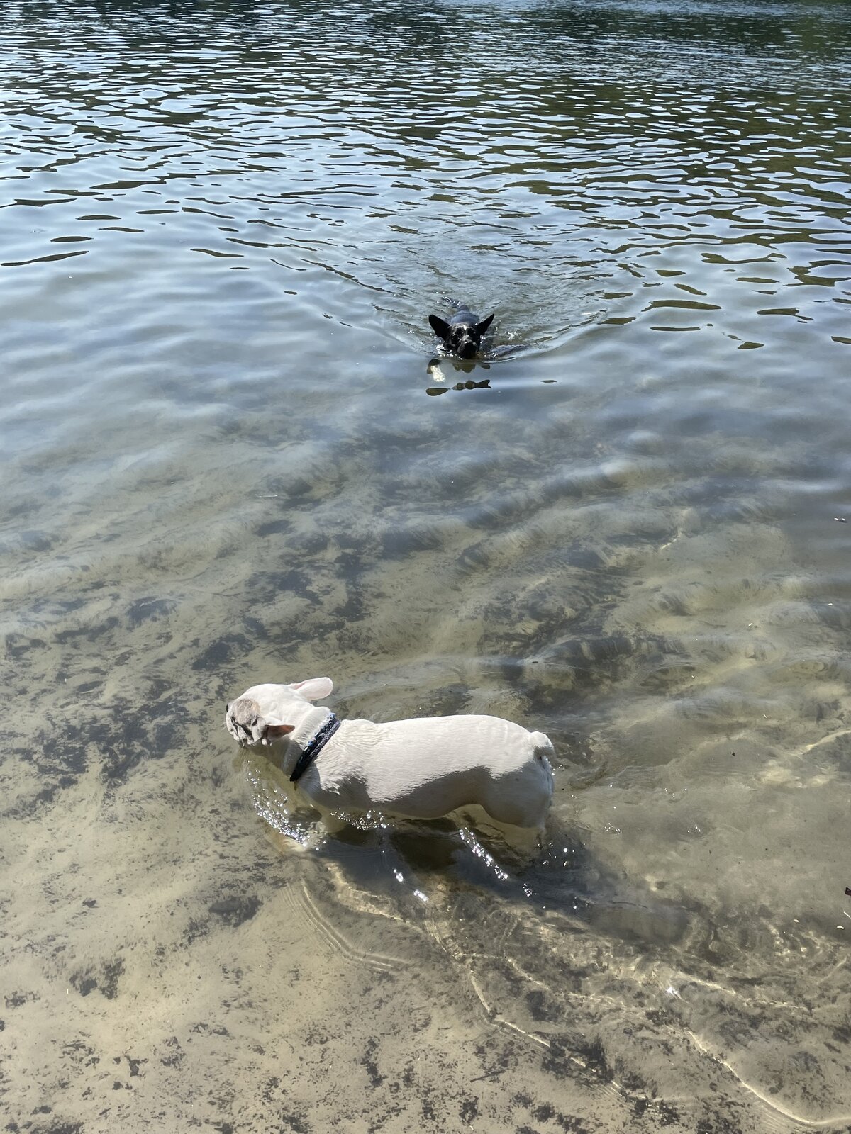 IMG_4740.jpeg