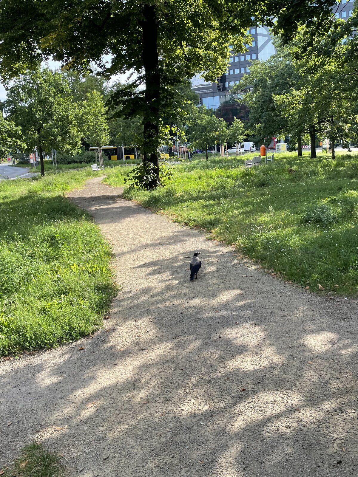 IMG_4924.jpeg