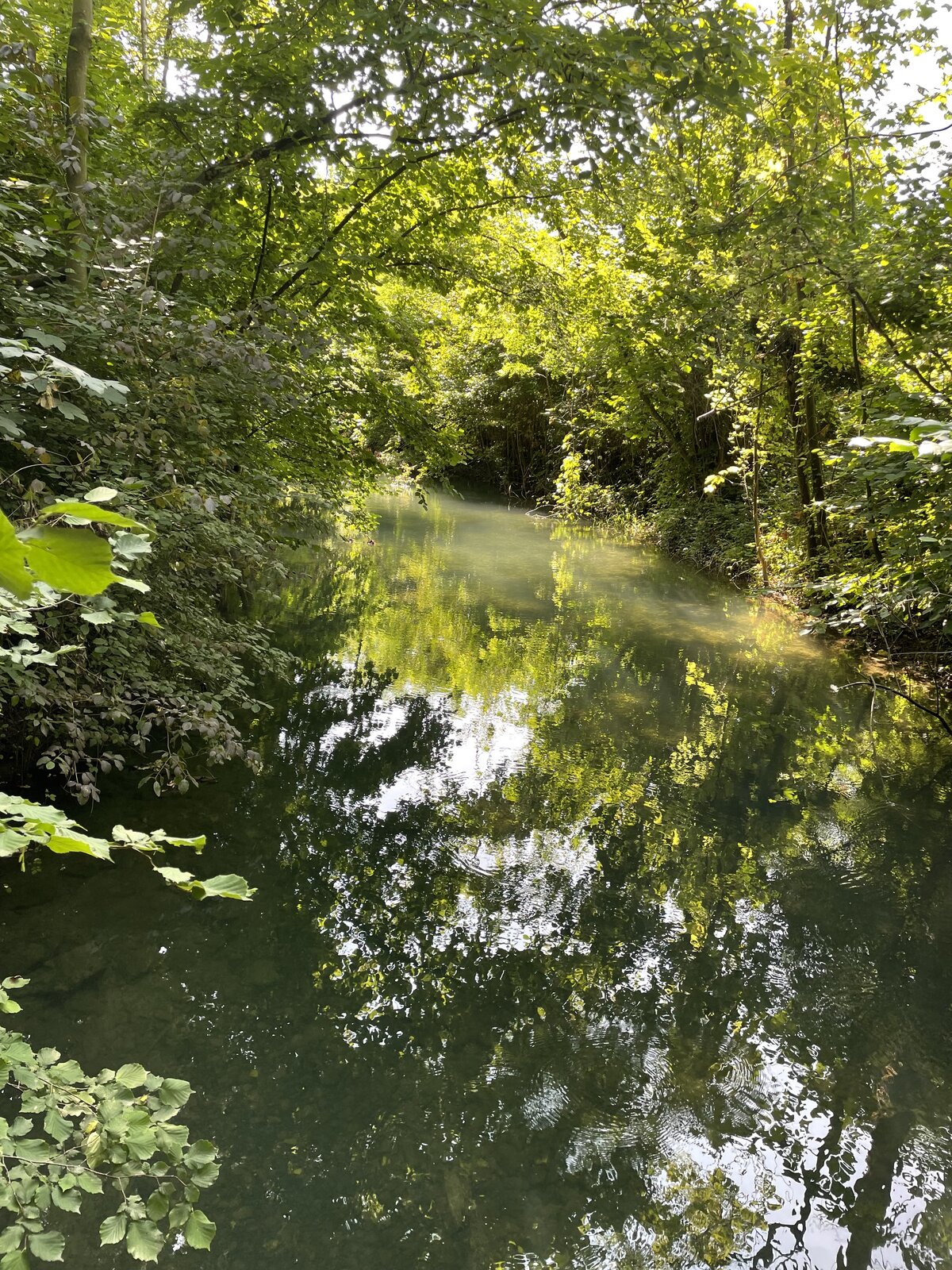 IMG_5314.jpeg