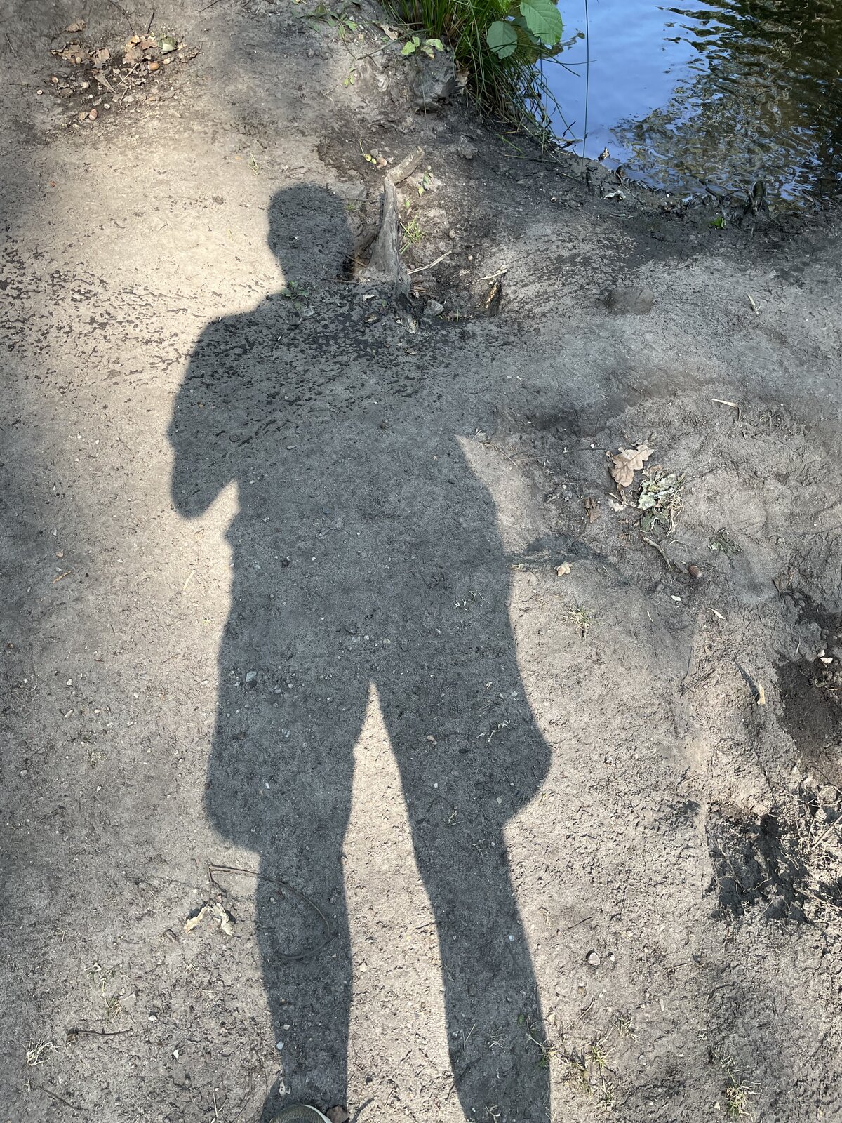 IMG_5387.jpeg