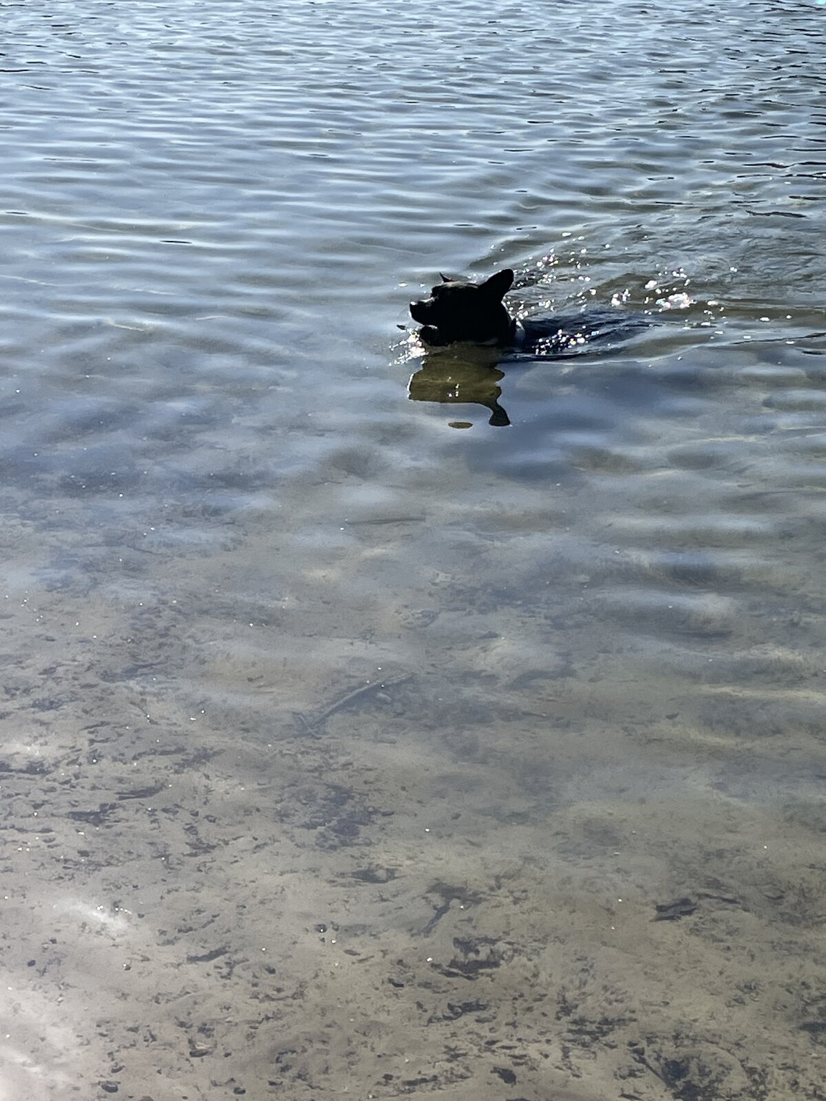 IMG_5626.jpeg