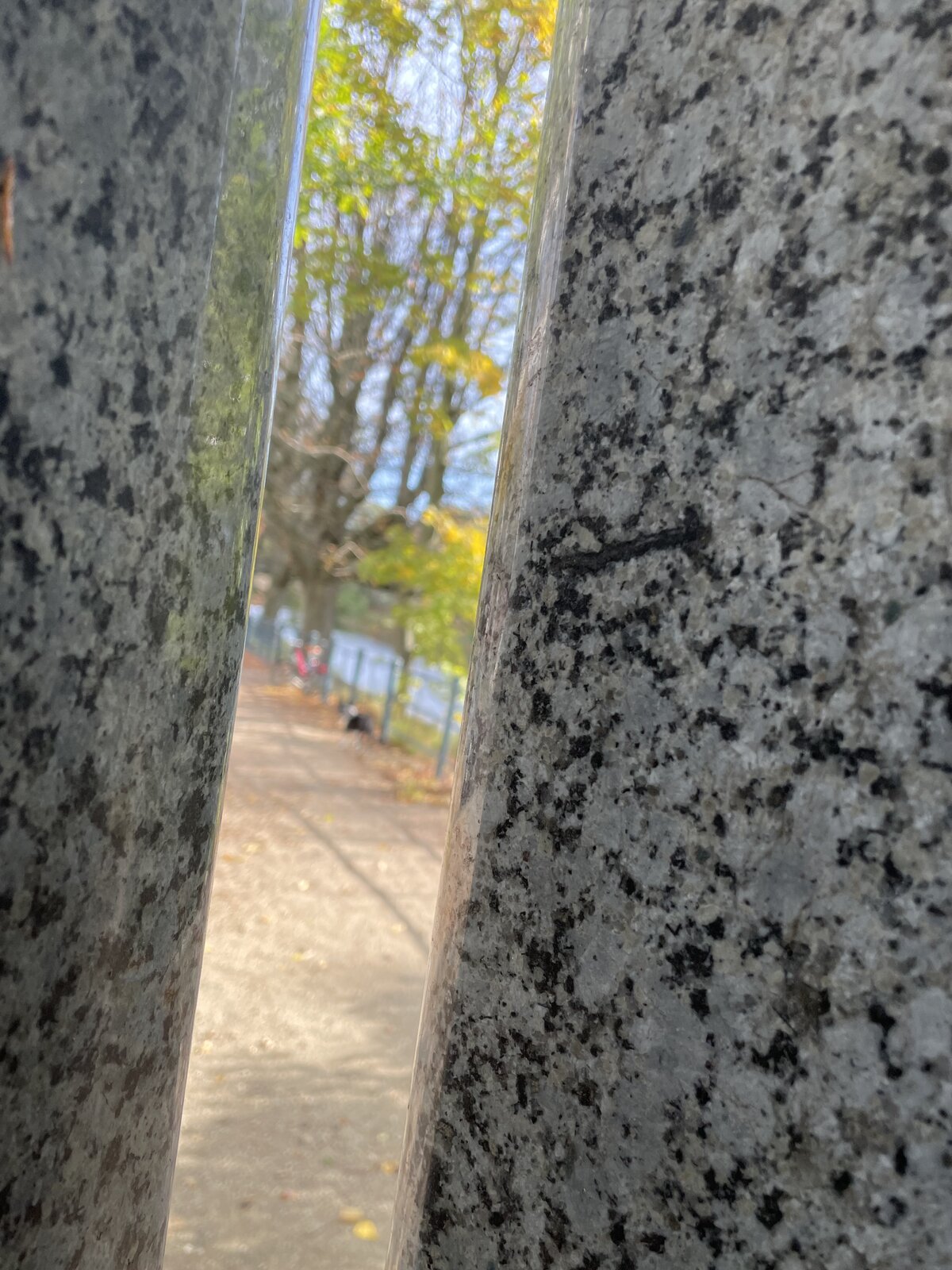 IMG_5901.jpeg