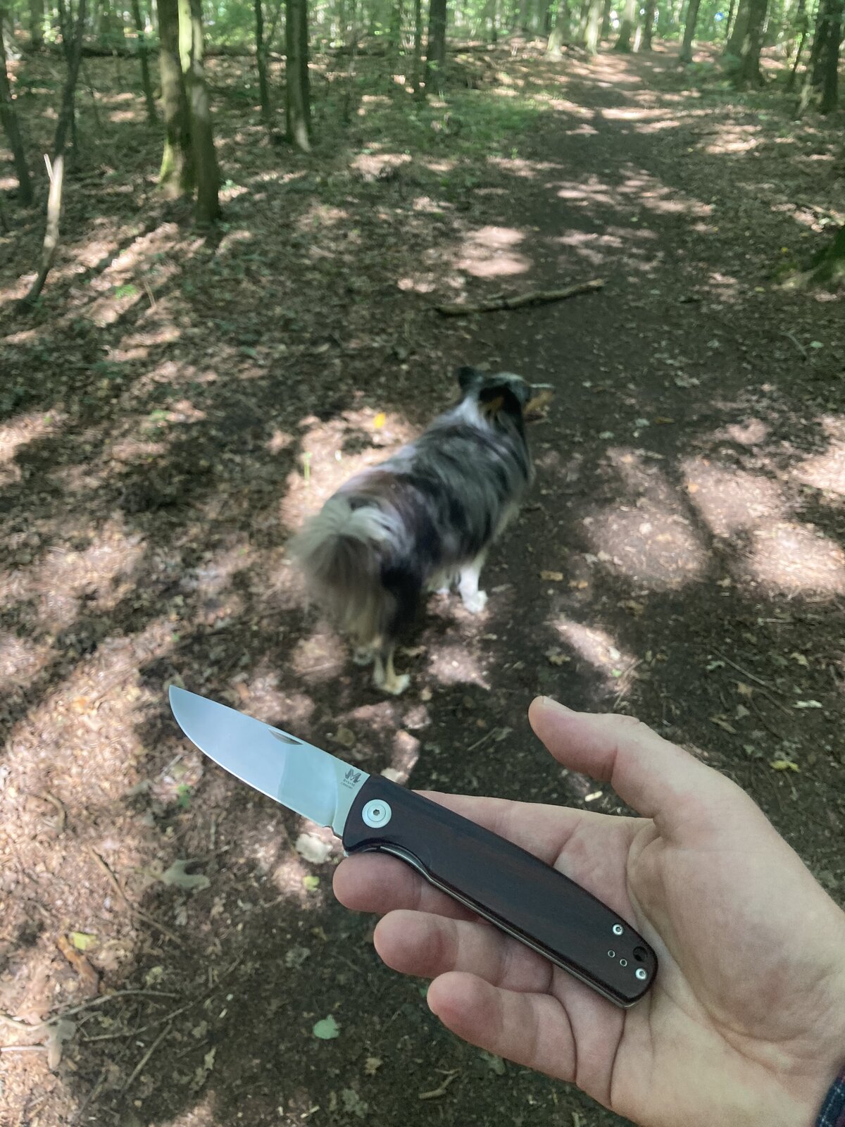IMG_6337.jpeg