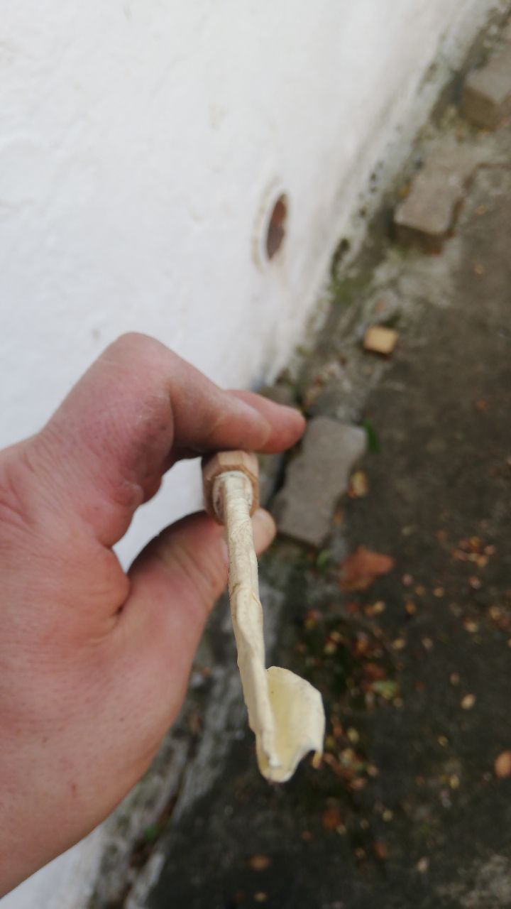 IMG_7221.jpeg