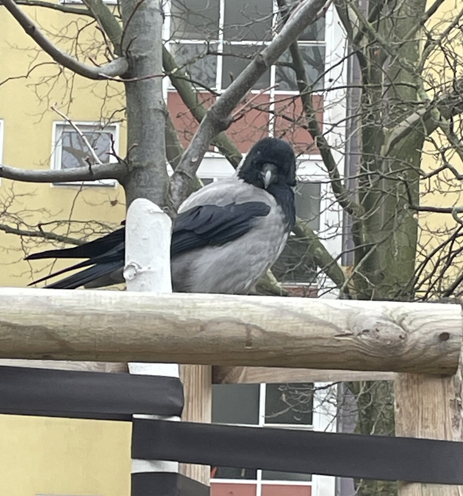 IMG_7225.jpeg