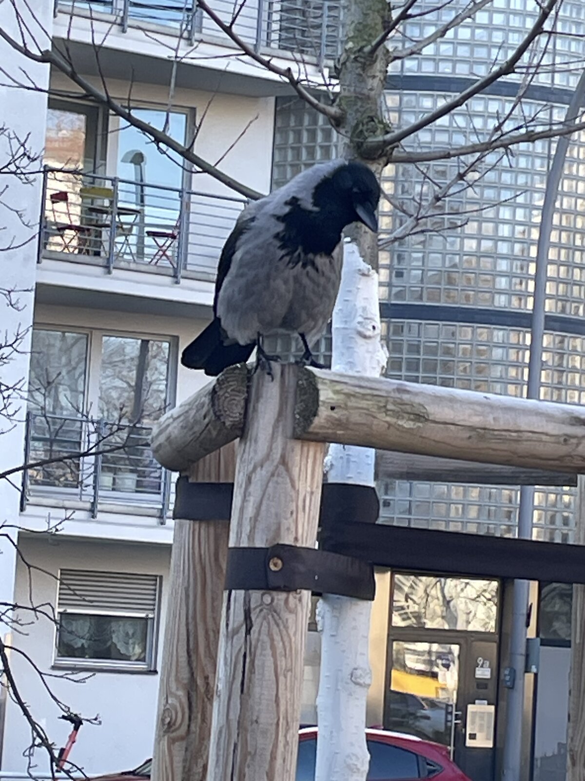 IMG_7455.jpeg