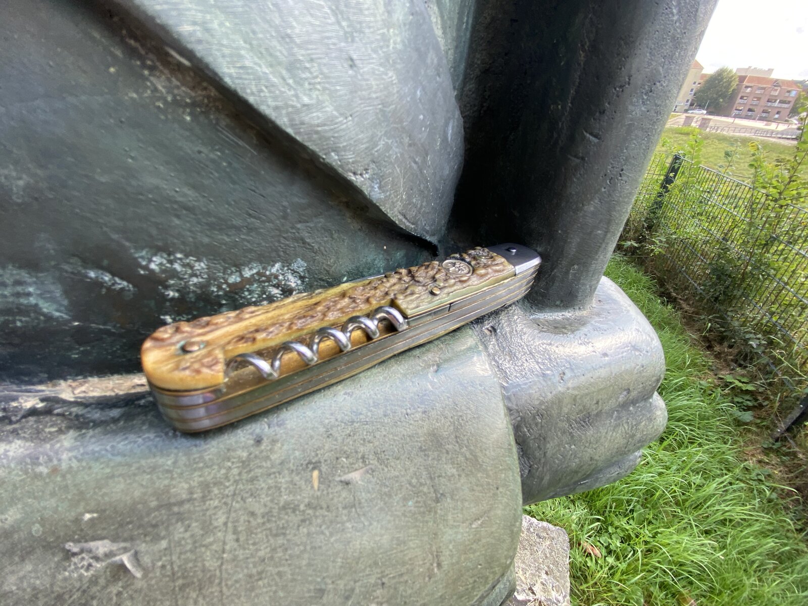 IMG_7537.jpeg