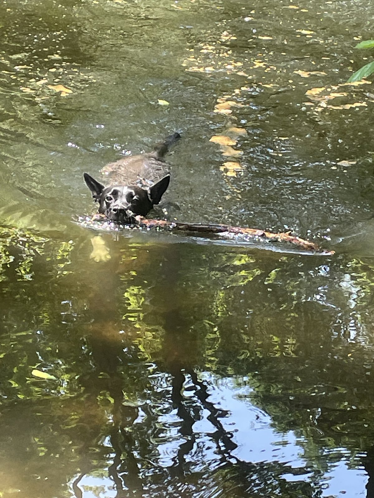 IMG_8860.jpeg