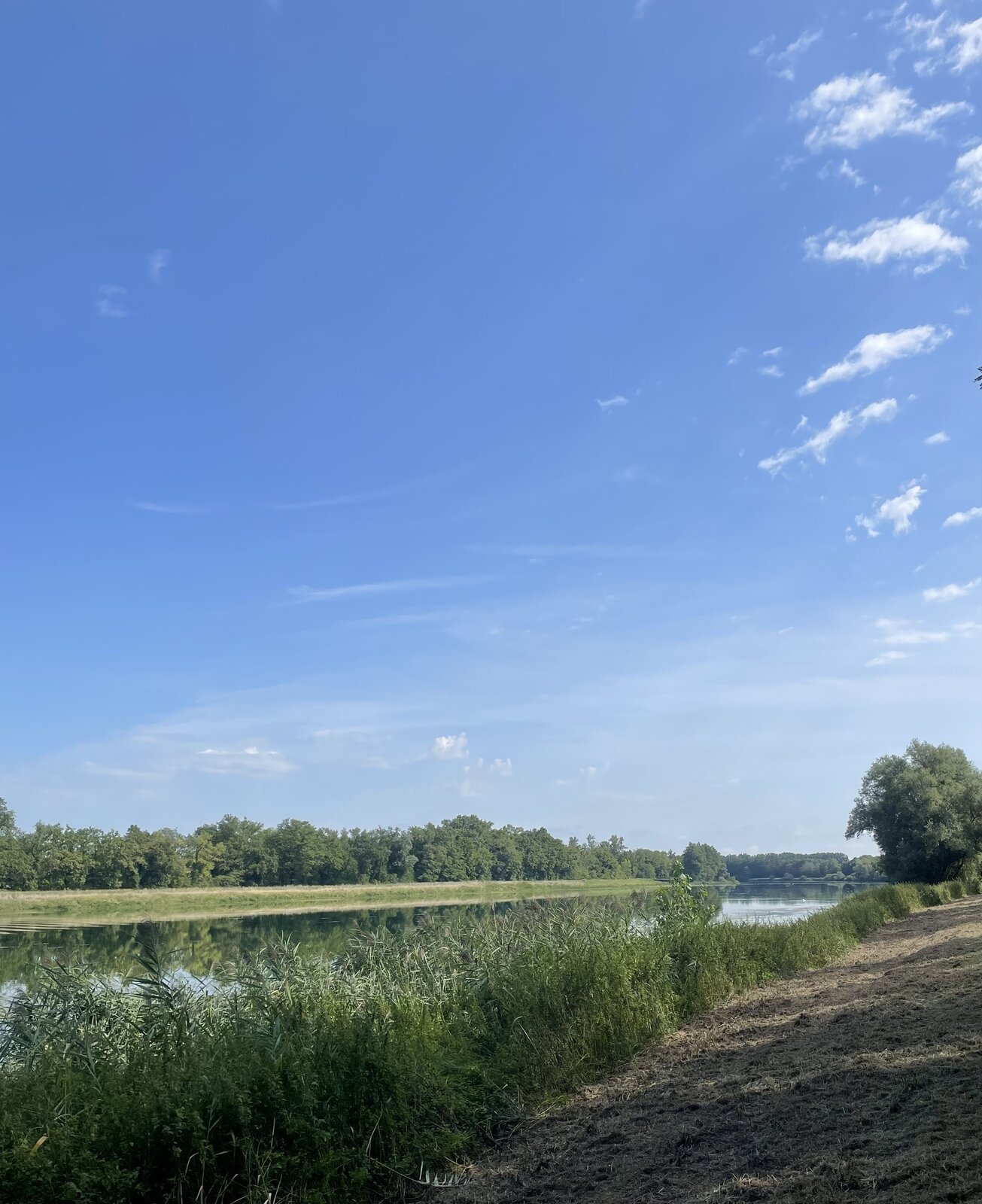 IMG_9870.jpeg
