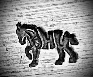 IMG_9925.jpeg