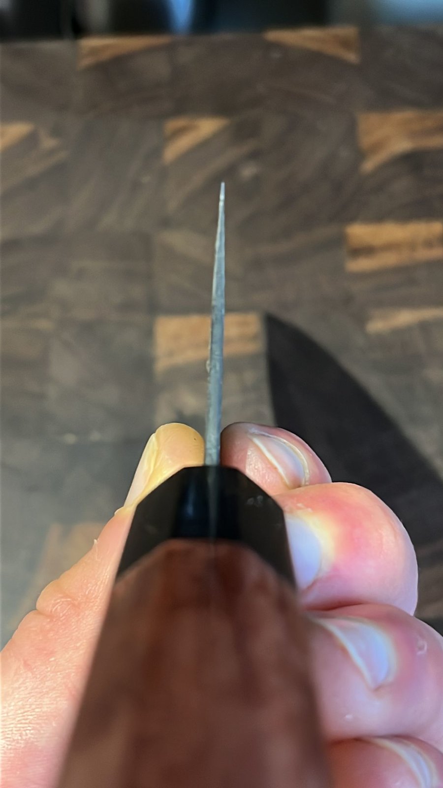 KS_230510.jpg