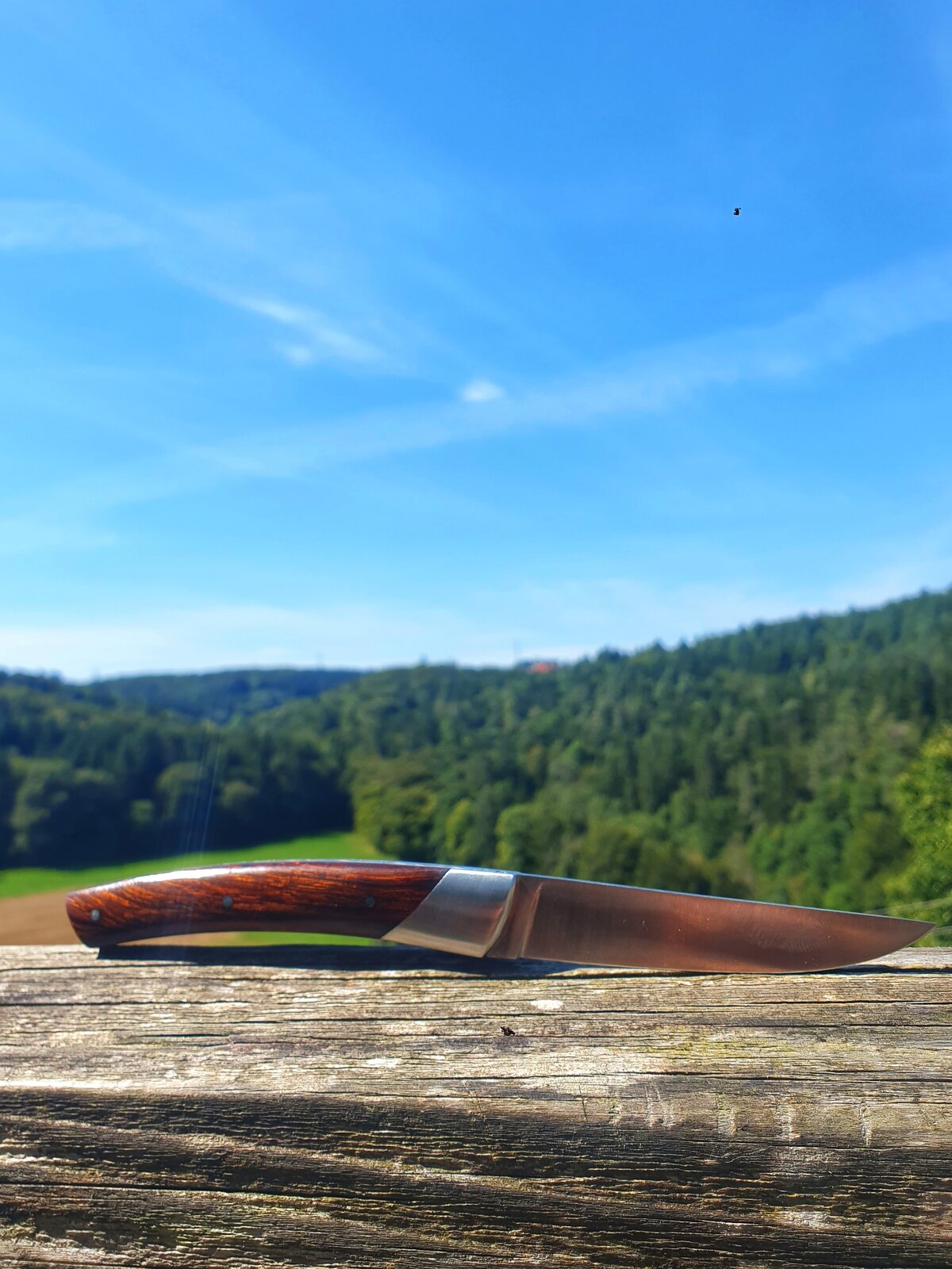 Le Thiers mit Ausblick .jpeg