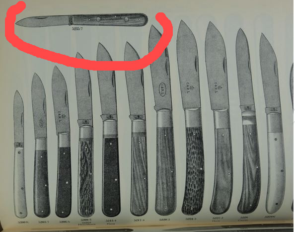 Linder, C&R Ziernieten A.x.JPG