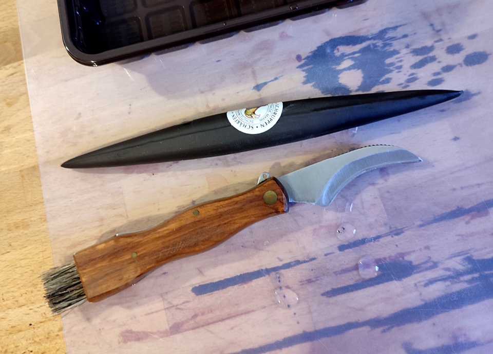 Linder_Pilz19.jpg