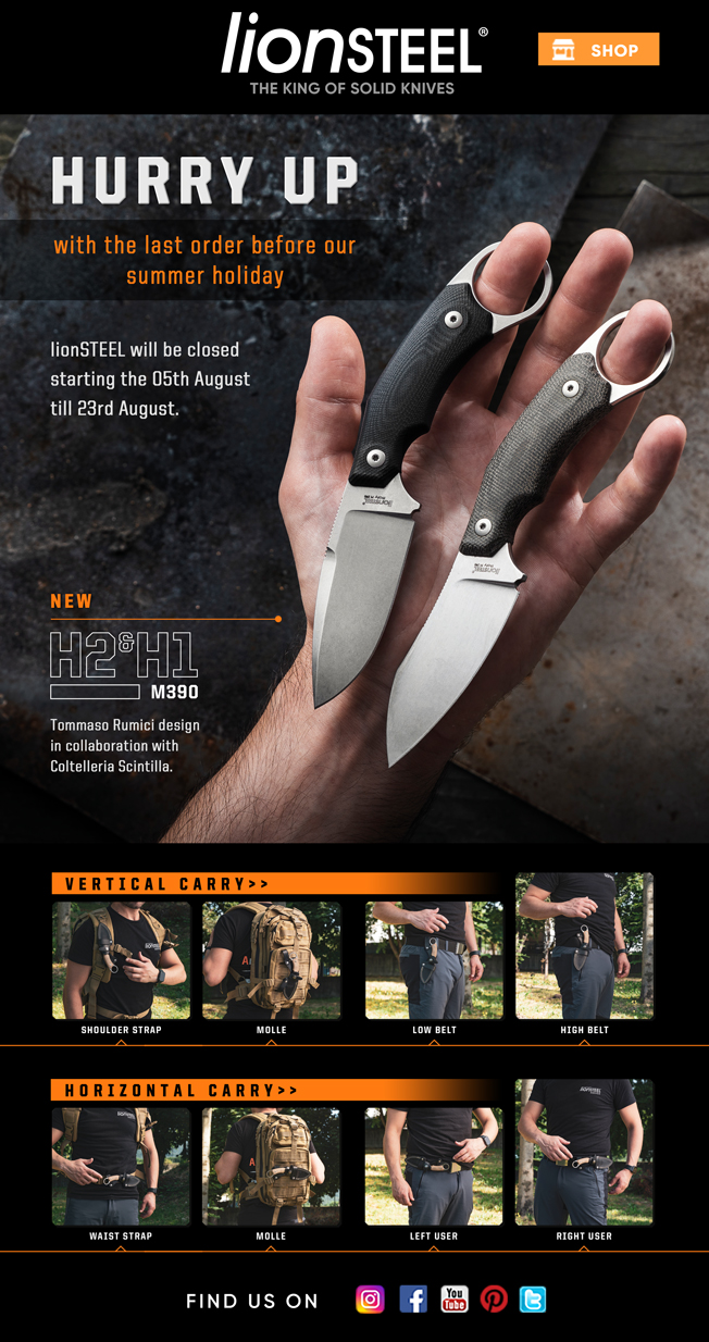 LIONSTEEL-newsletter-H2&H1-dealer-corretta.jpg