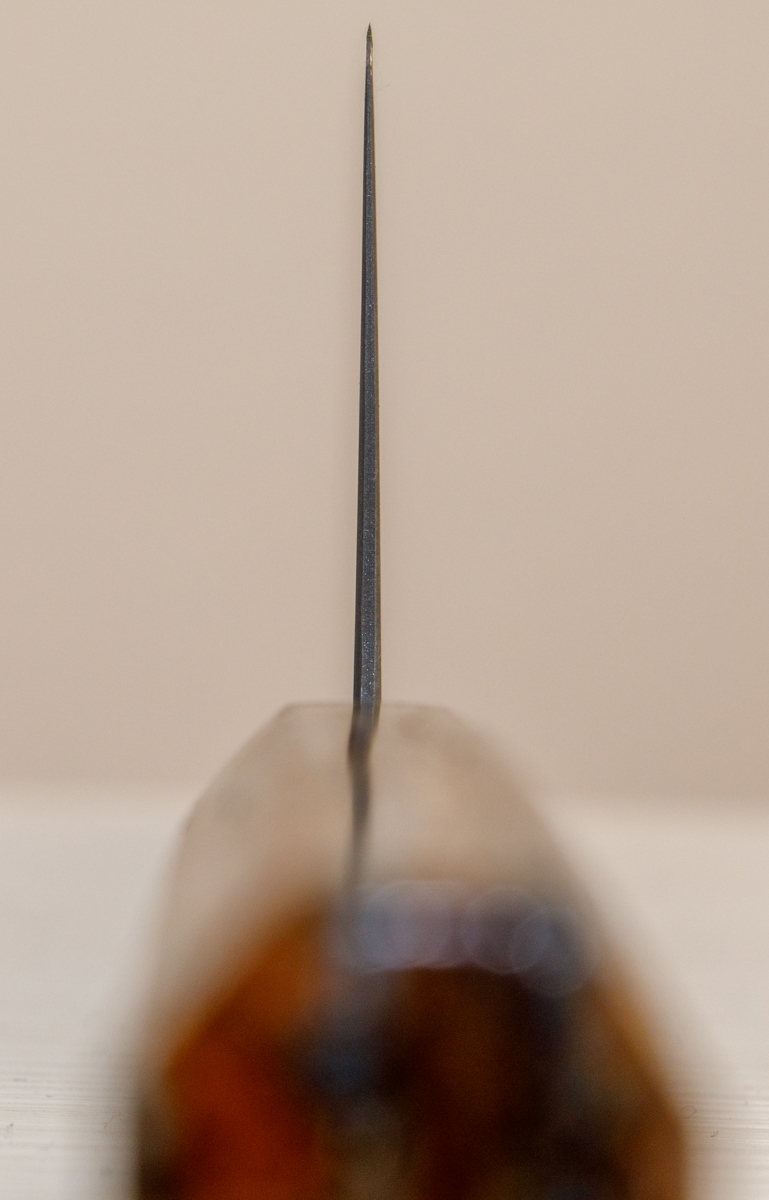 LR__7405-ps.jpg