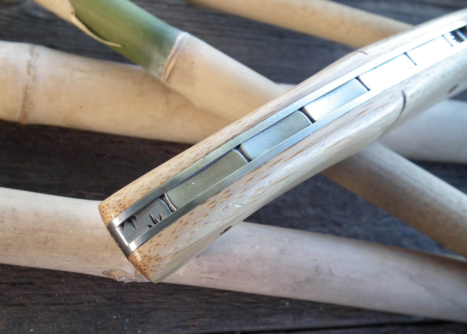 Manu Laplace Bamboo (5).JPG