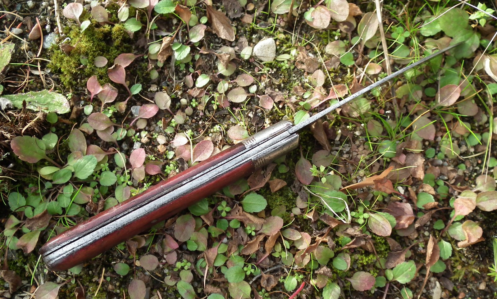 Mawido Taschenemesser (2).JPG Mawido Taschenemesser (2).JPG