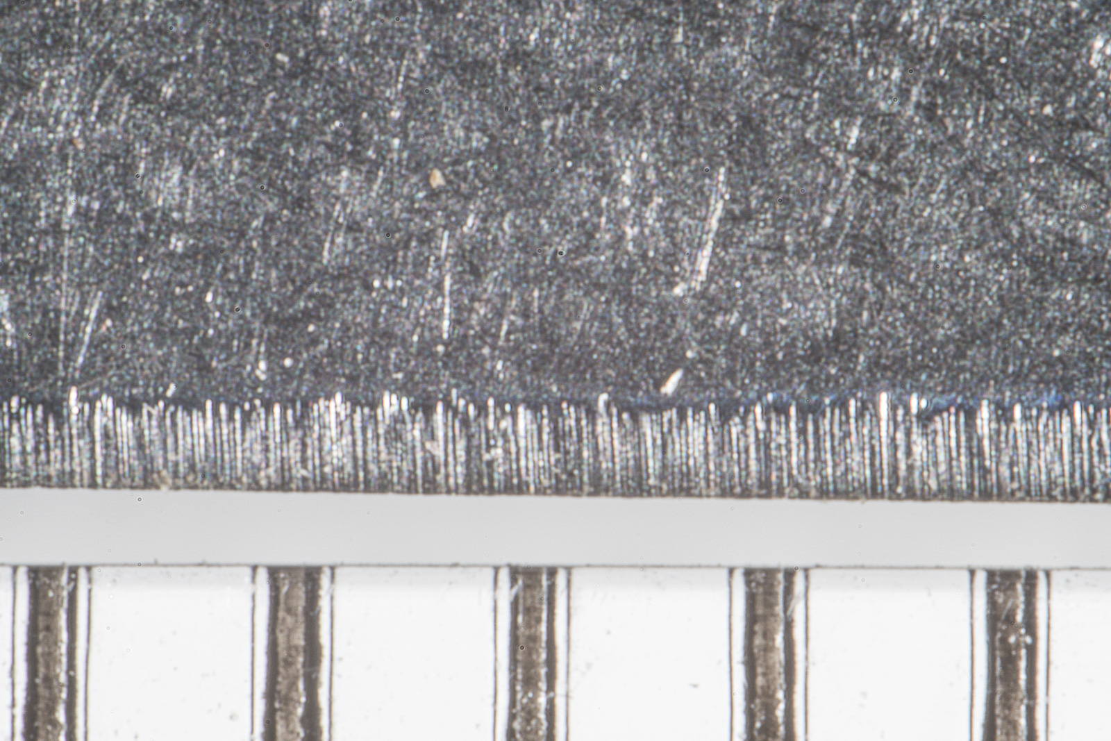 MT_LCC_f16_DSC06067.jpg MT_LCC_f16_DSC06067.jpg