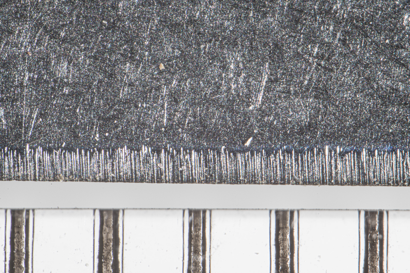MT_LCC_f8_DSC06065.jpg