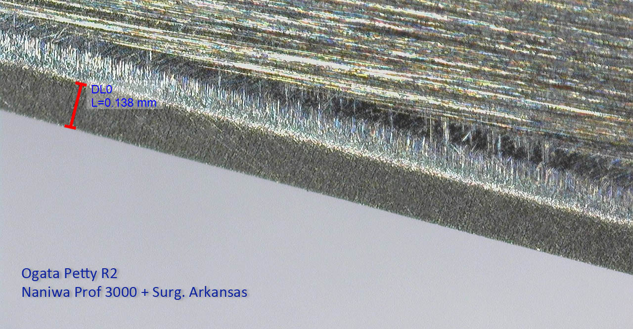 OgataR2_NP3k_Ark_200x.jpg