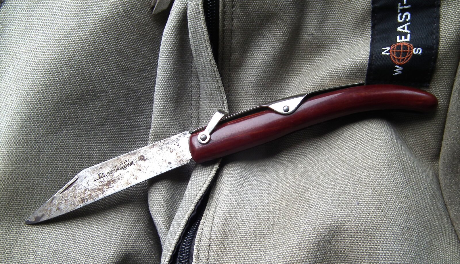 okapi (1).JPG