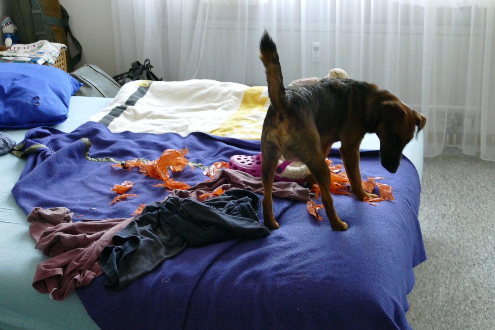 P1040931.JPG