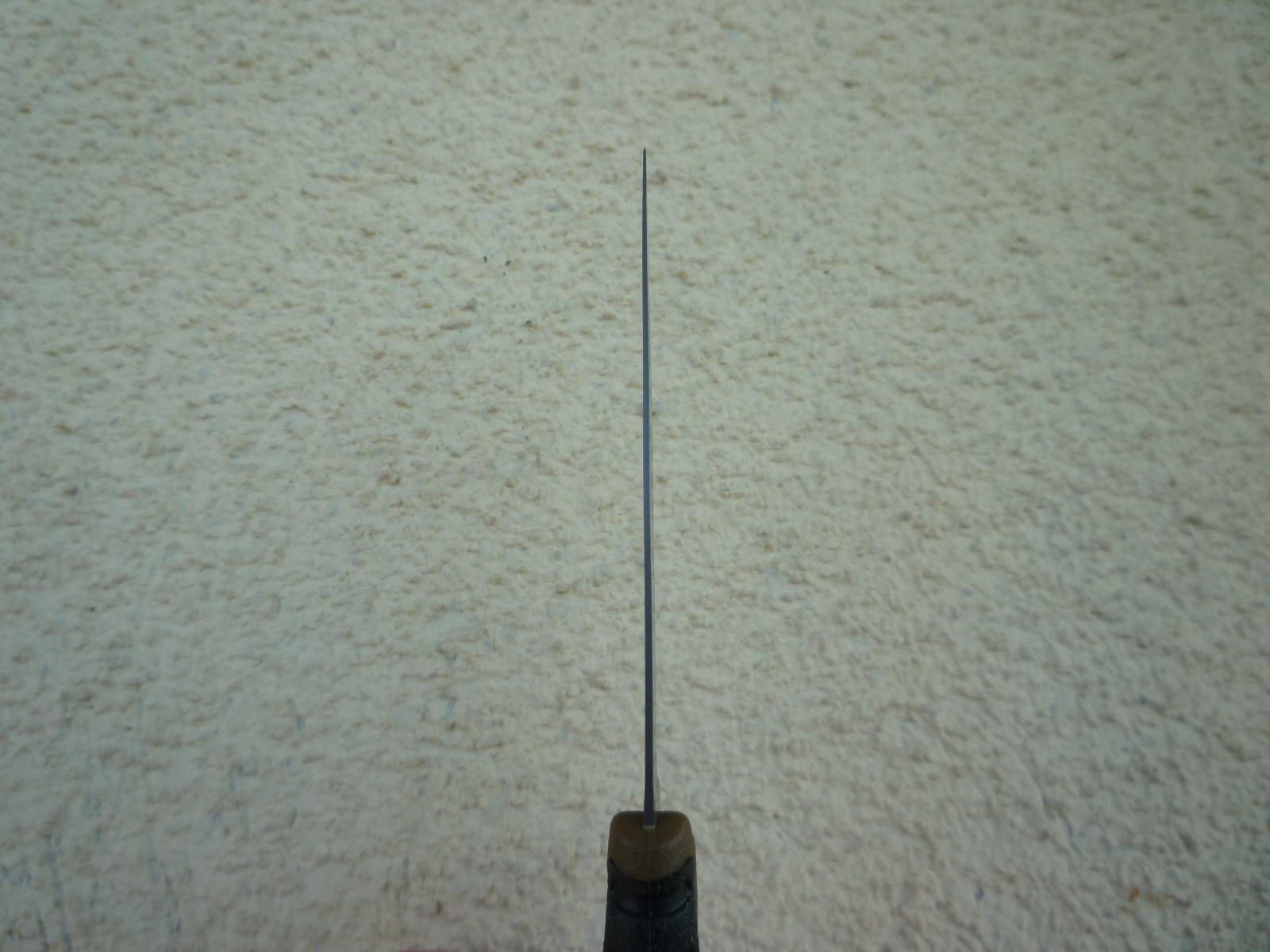 P1080052.jpg