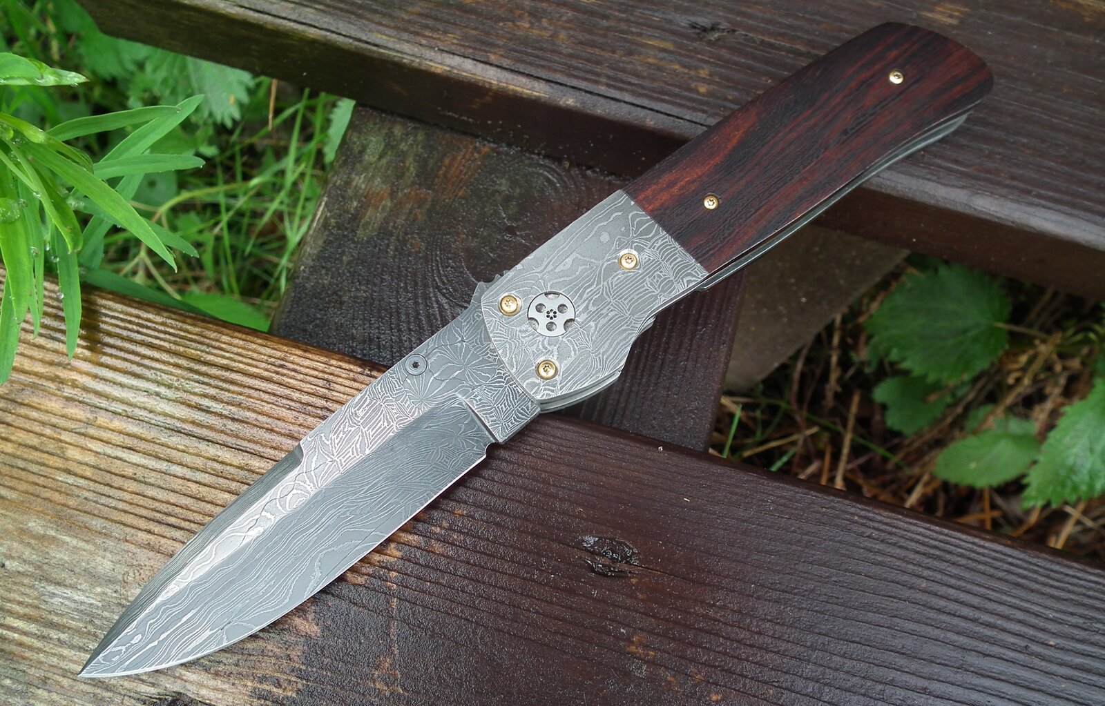 Ray Coon Terzuola Folder (1).JPG