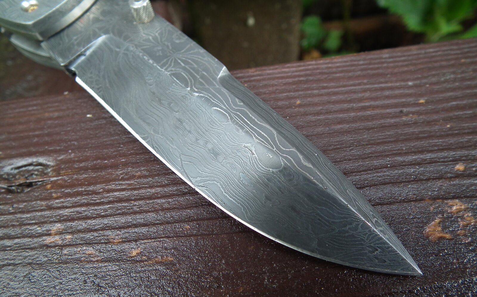 Ray Coon Terzuola Folder (2).JPG
