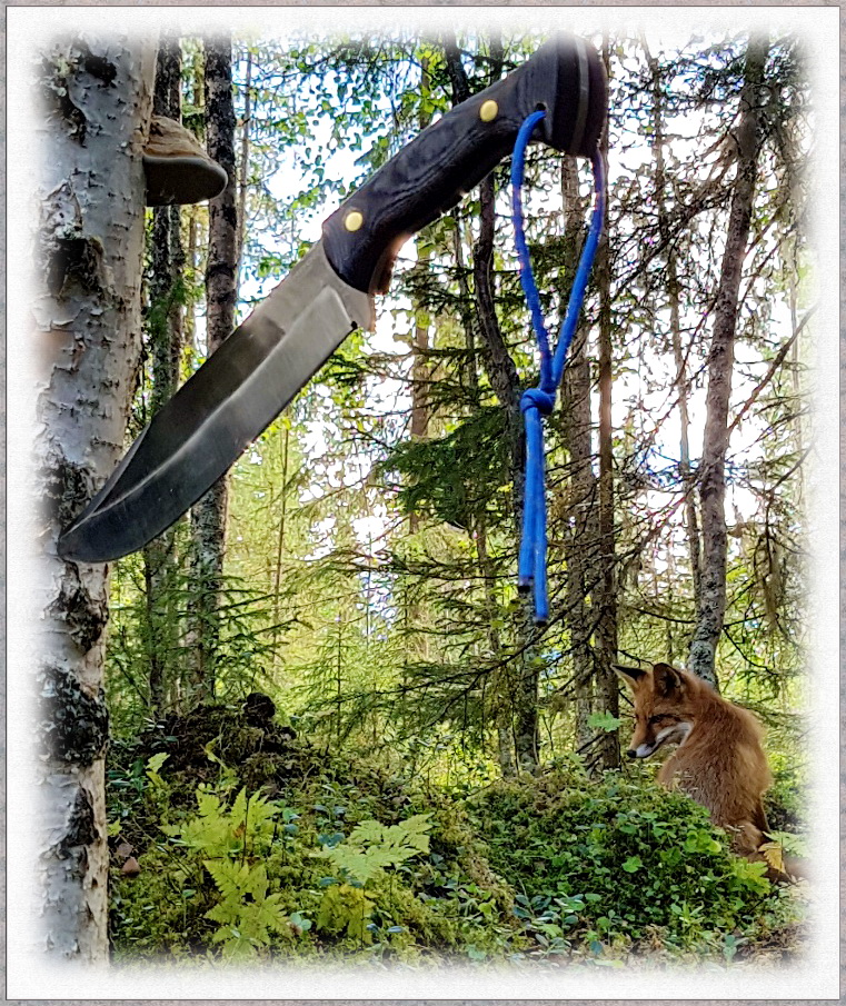 Redbeards roter Hund.jpg