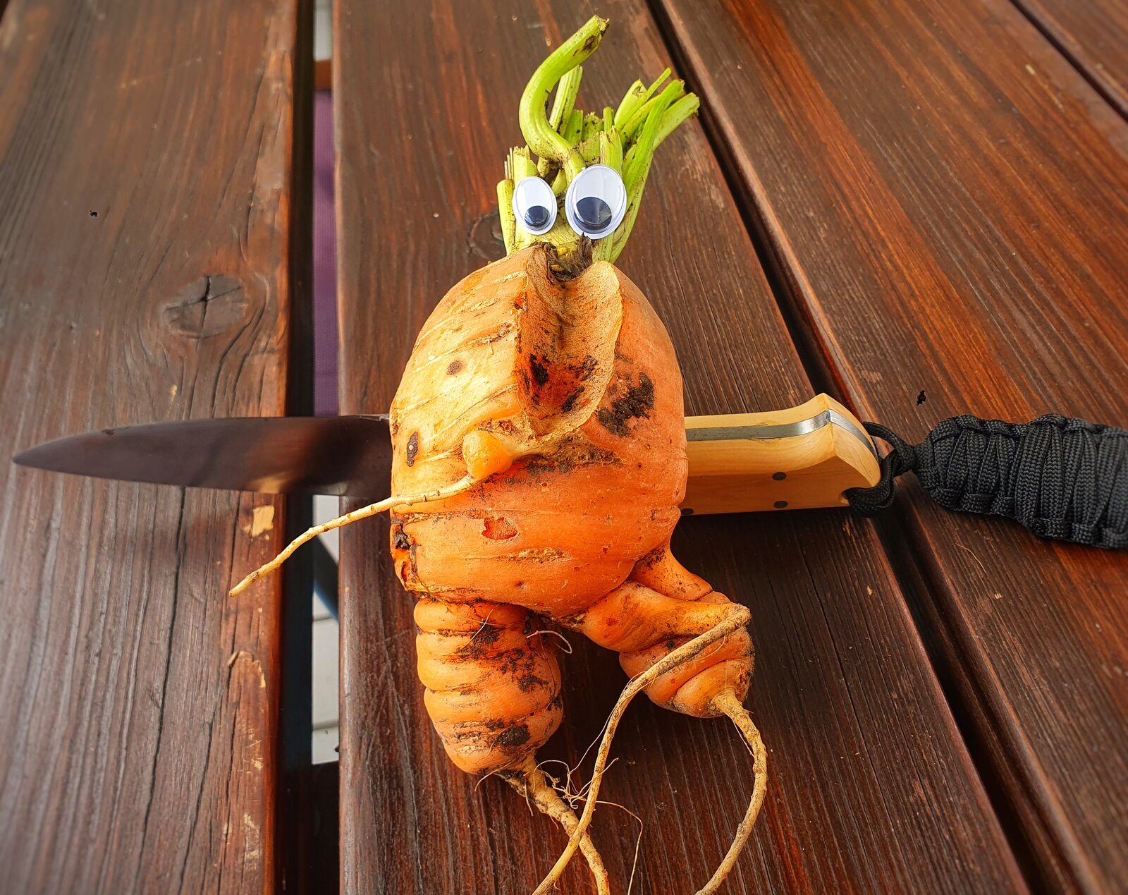 Scharfe Karotte.jpeg