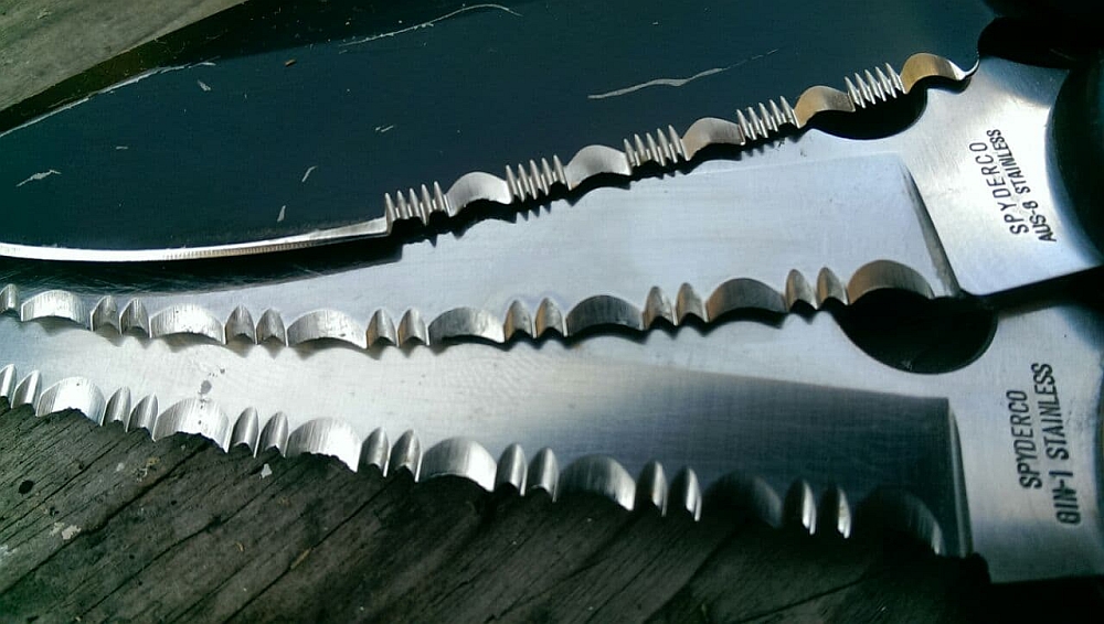 Serrations.jpg