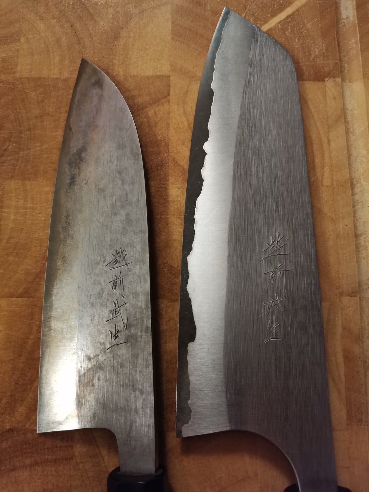 Shiro_Kamo_Flankenvergleich_01_05_2023.jpg