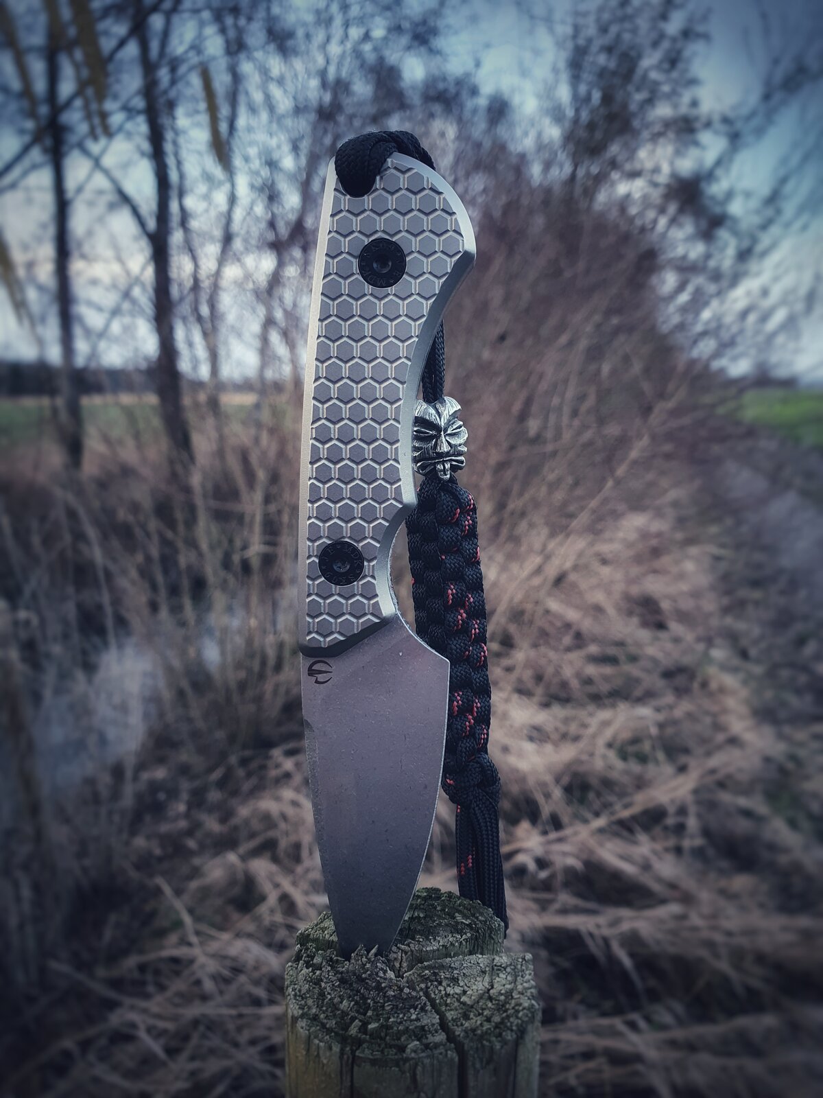 SK09 in freier Wildbahn.jpeg