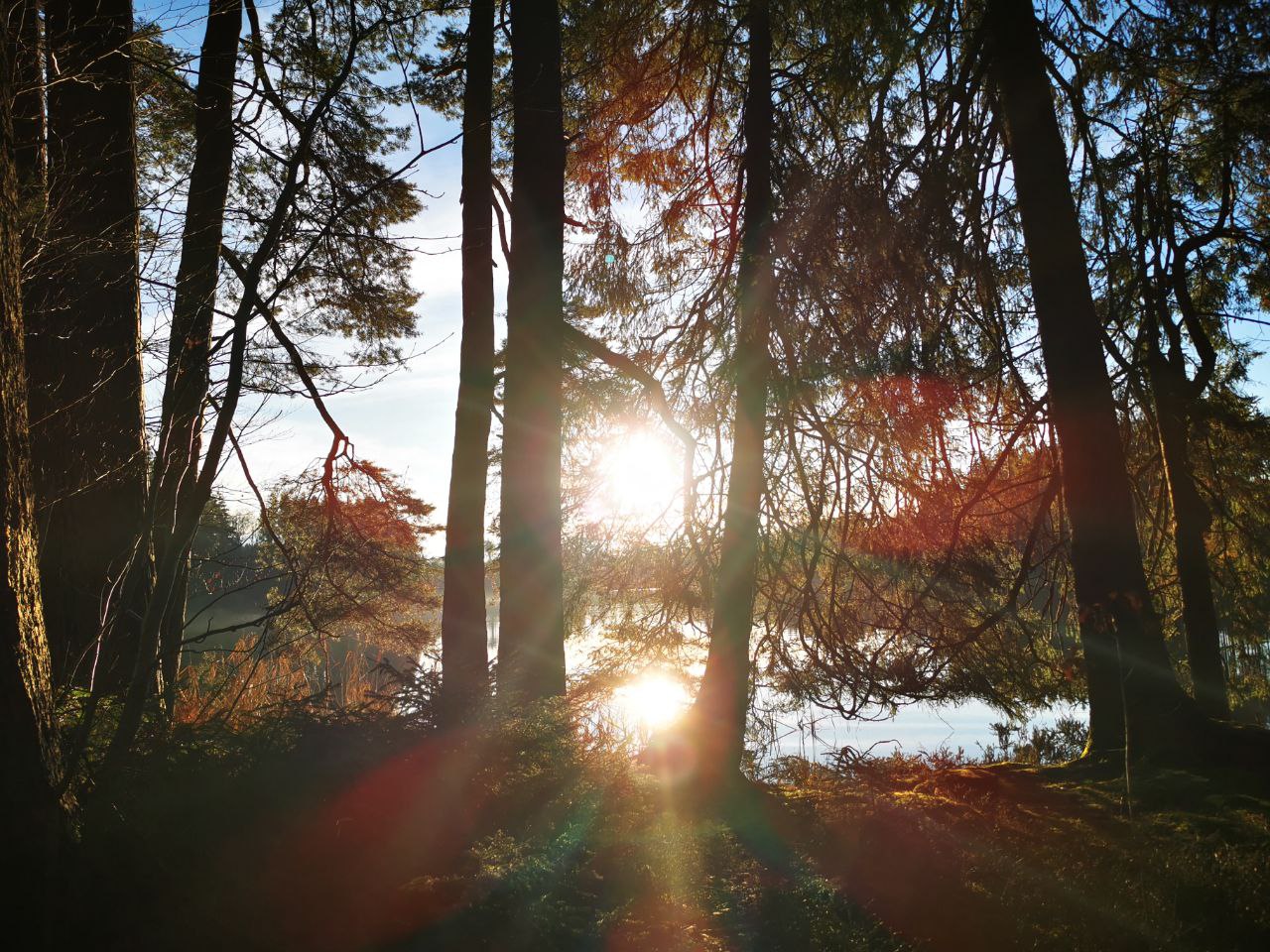 Sonne.jpg