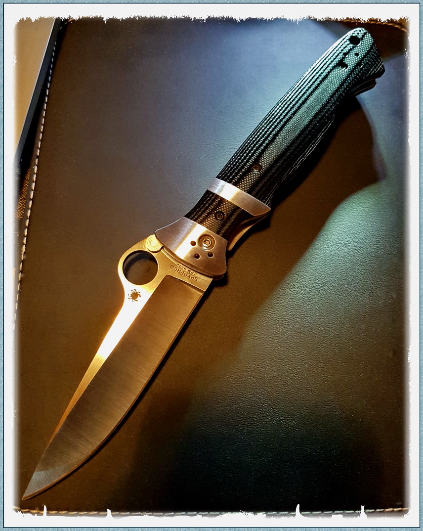 Spyderco Butch Vallotton.jpg