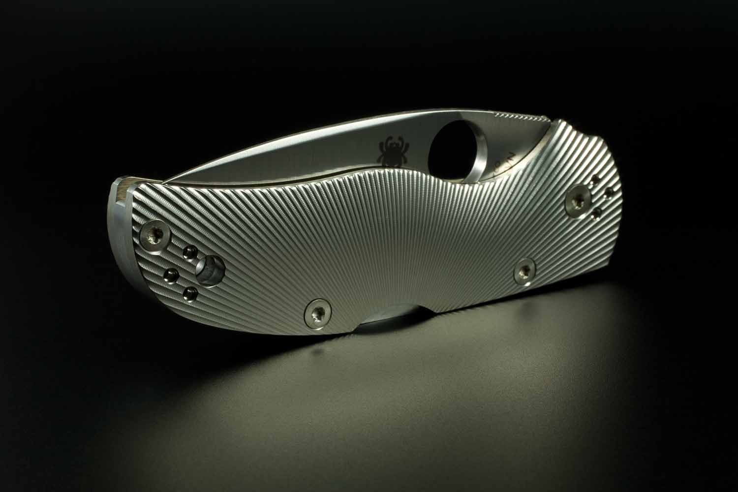 Spyderco Native FT, 08.jpg