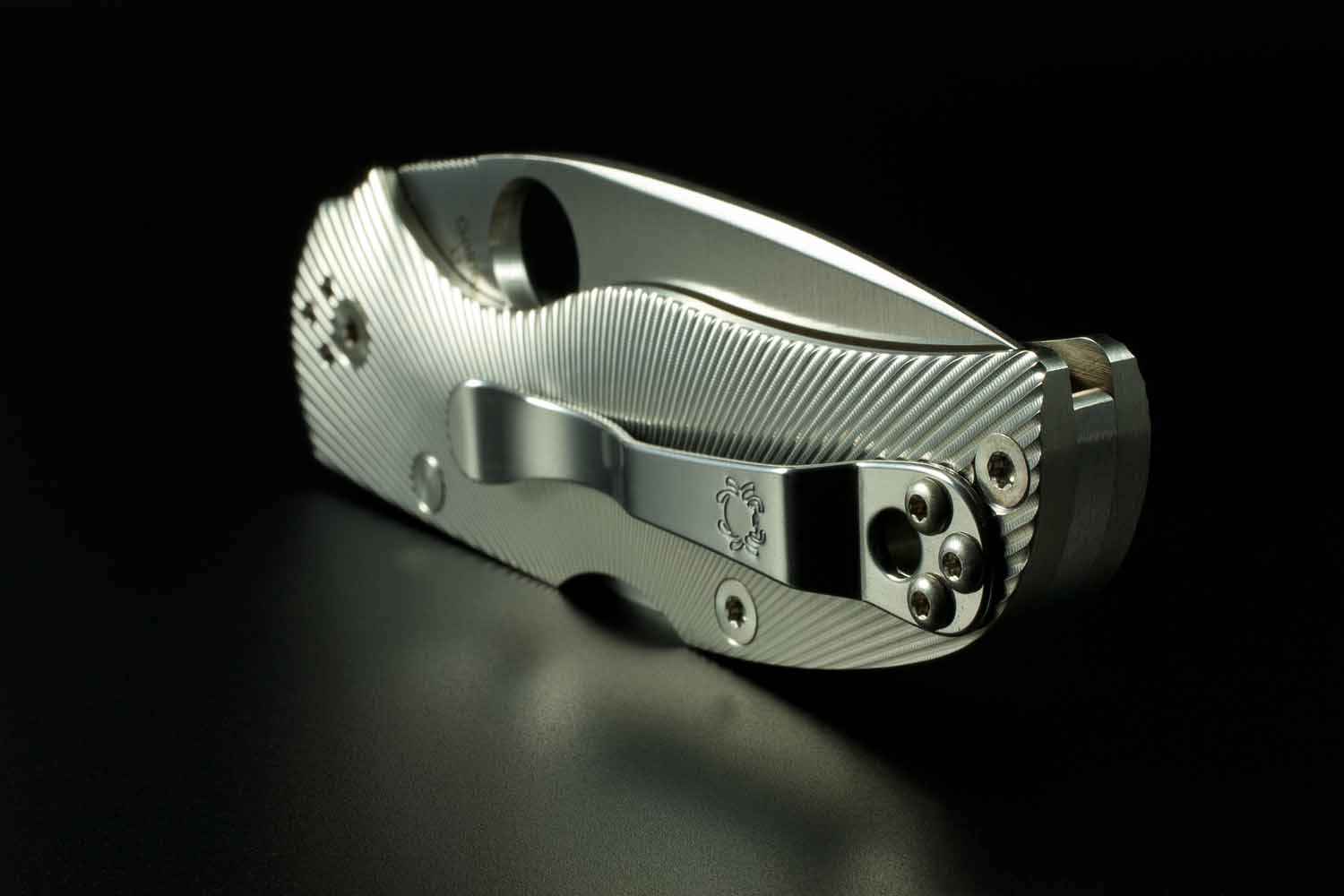 Spyderco Native FT, 09.jpg