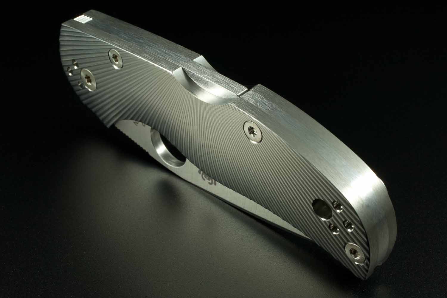 Spyderco Native FT, 11.jpg