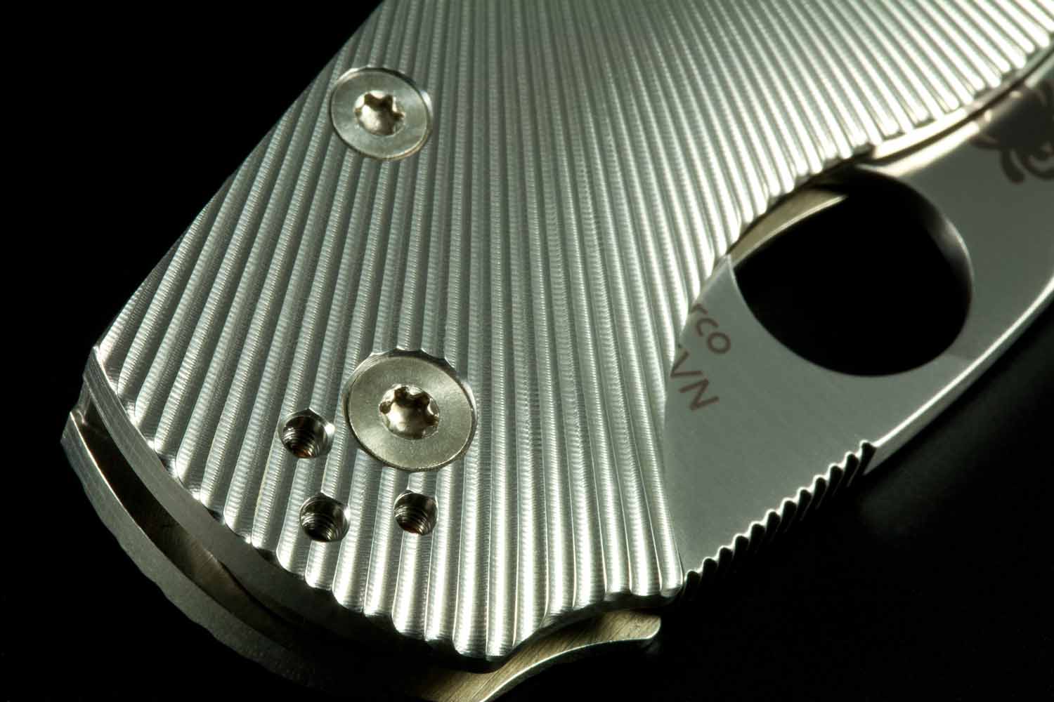 Spyderco Native FT, 17.jpg