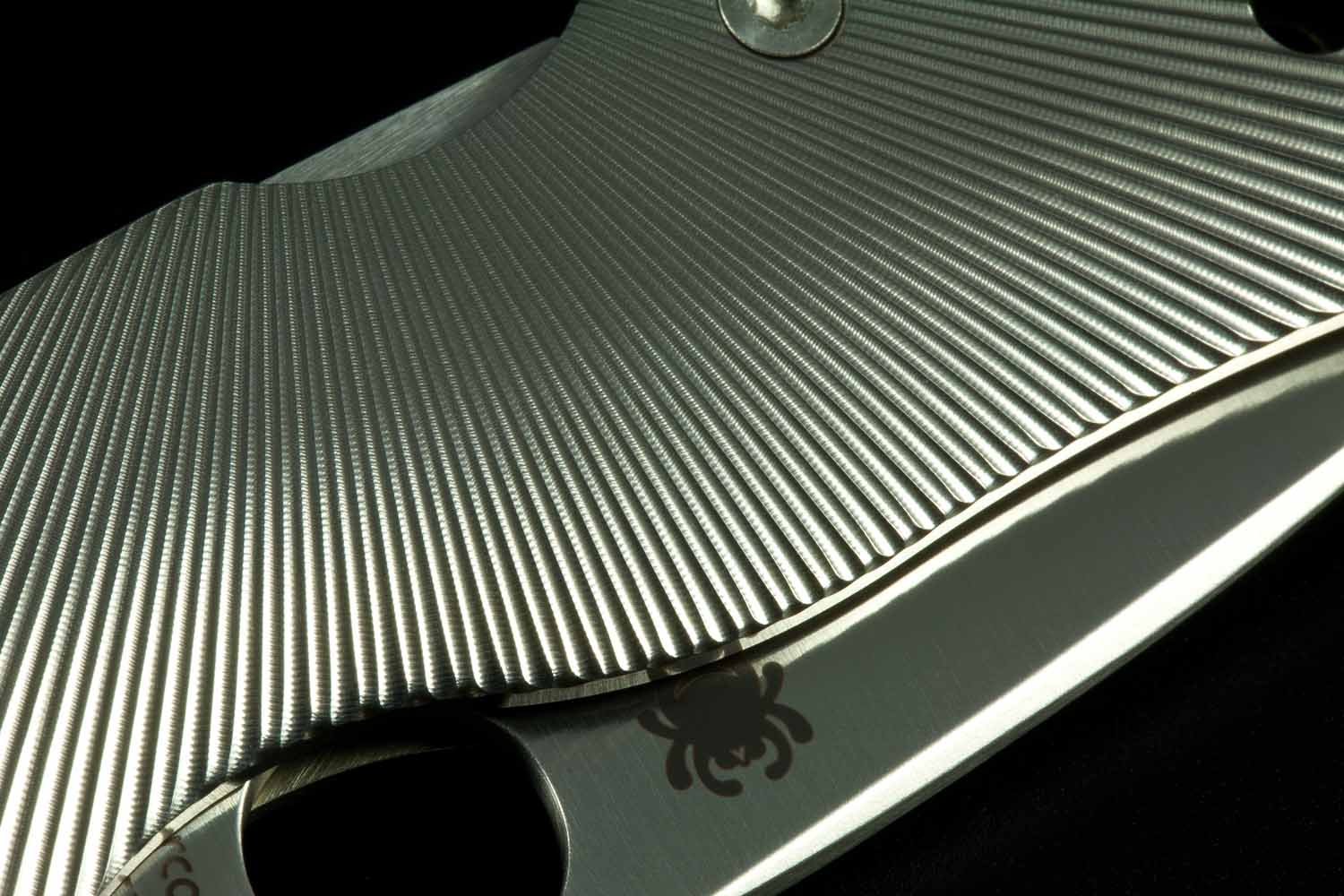 Spyderco Native FT, 18.jpg