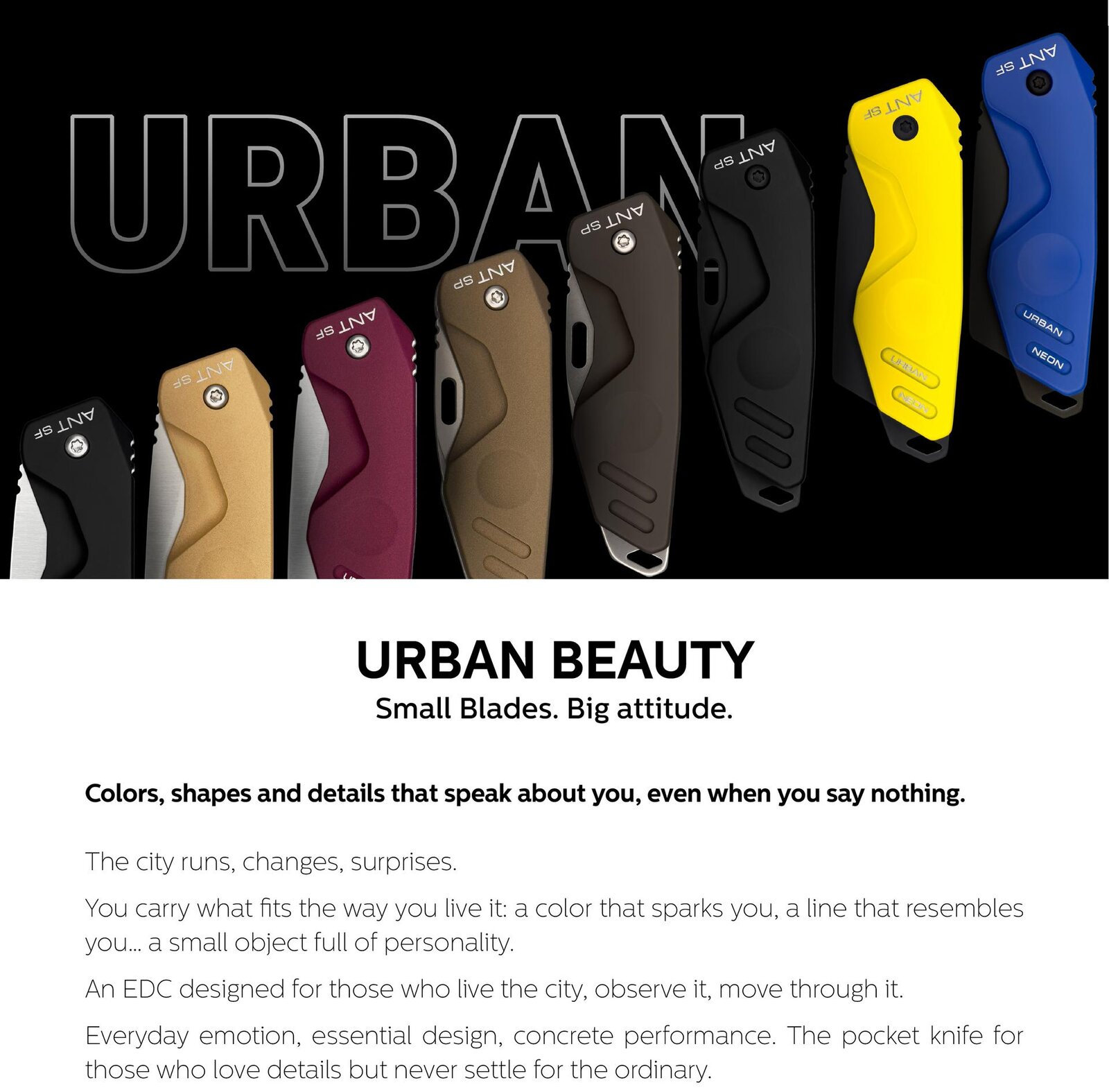 Tavola disegno 1-100.jpg