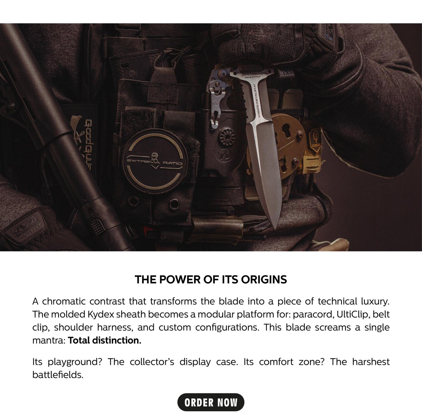 Tavola disegno 3-100.jpg