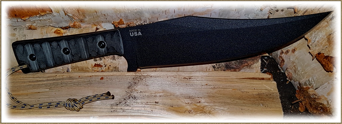 Tops Bowie I.jpg