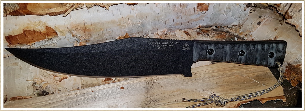 Tops Bowie II.jpg