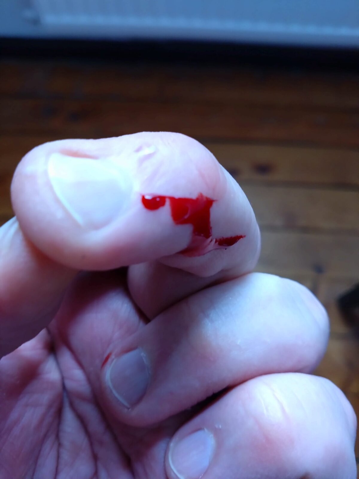 WhatsApp Image 2026-03-13 at 11.45.16 (2).jpeg