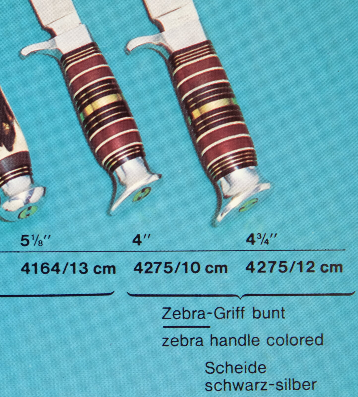 Wingen Zebra 2.2.JPG
