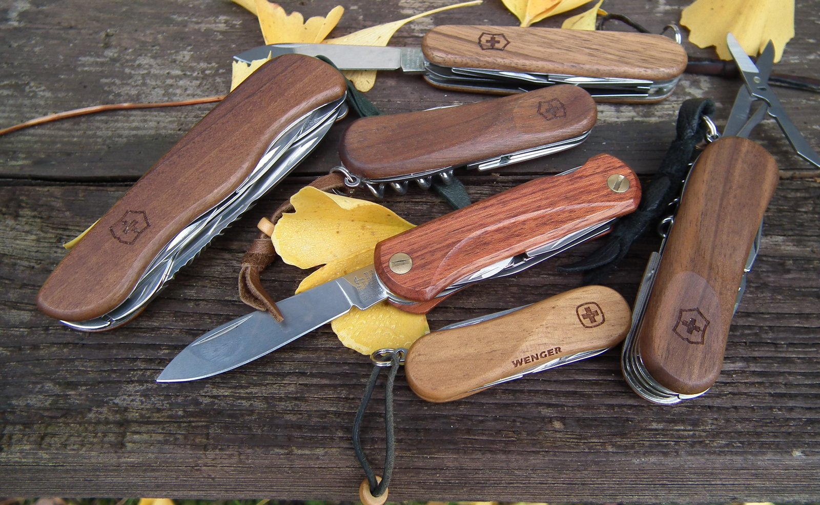 Wood Collection (1).JPG